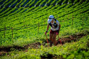 BIB: 
                            <button type="button" onclick="openModal(19160522)" class="btn btn-primary btn-sm float-right btn-popup" data-toggle="modal" data-target=".modal-high-quality">
                        <i class="fas fa-shopping-cart"></i> Add to Cart
                    </button>
                                            <button type="button" onclick="isThisMe(19160522, true)" class="btn btn-success btn-sm float-right btn-popup btn-isme hidden" data-toggle="tooltip" data-placement="bottom" title="นี่คือรูปของคุณใช่ไหม คลิกที่นี่เพื่อเอาเข้าอัลบั้ม">
                        <i class="fas fa-plus"></i> Add to album
                    </button>
                    <button type="button" onclick="isThisMe(19160522, false)" class="btn btn-warning btn-sm float-right btn-popup btn-isnotme hidden">
                        <i class="fas fa-ban"></i> Remove from album
                    </button>